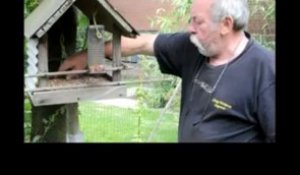Villers l'évëque : Michel nourrit les oiseaux dans son jardin