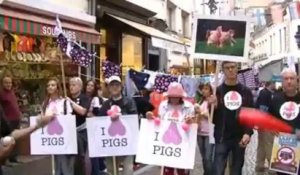 Manifestation GAIA contre la castration des porcelets