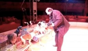 Paolo dompteur de chien au cirque Bouglione à Mons