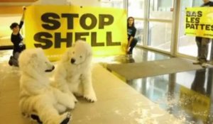 Des militants de Greenpeace envahissent les bureaux de Shell
