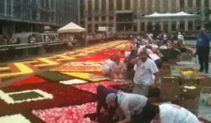 Bruxelles: Installation du Tapis de Fleurs
