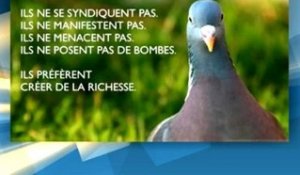 Taxes : les "pigeons" se révoltent