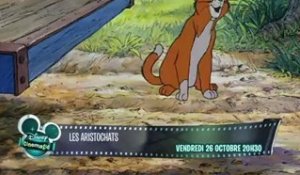Les Aristochats en streaming direct et replay sur CANAL+