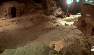 De nouvelles découvertes archéologiques au pied de Notre-Dame