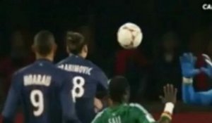 Expulsion de Zlatan Ibrahimovic face à Saint-Etienne à cause d'un coup de pied sur Ruffier