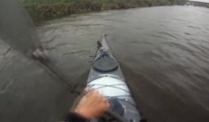 Sauvetage d'un mouton en kayak