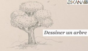 Comment dessiner un arbre ? - HD