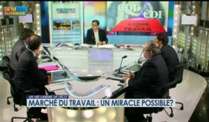 Marché du travail : un miracle possible ? - 10 janvier - BFM : Les décodeurs de l'éco 2/5