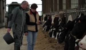 [FR] M2M : des vaches connectées pour la détection du velage [VIDEO]