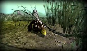 Le Seigneur Des Anneaux Online : Les Ombres D'Angmar - Bande-annonce #34 - Update 6 - Rush Gore