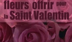 Quelles fleurs offrir pour la saint Valentin ? Séduction amour St Valentin