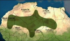 Quinze Français captifs dans les pays du Sahel