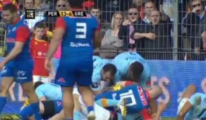 Perpignan-Grenoble: 20-18 - J21 - Saison 2012/2013