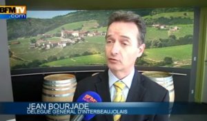 Climat: les vignobles de Bordeaux et de la vallée du Rhône menacés dès 2050 - 09/04