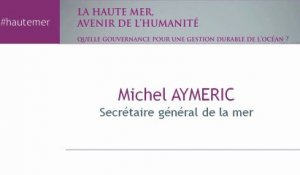 12-Communication lue par Michel Aymeric - Conférence Haute-mer 2013 - cese