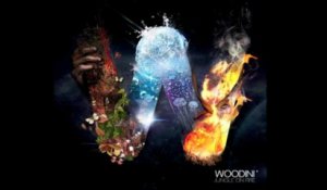 Woodini - Memories