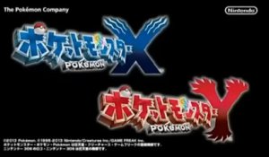 Pokémon X - Animations des batailles