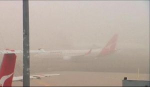 Un épais brouillard paralyse Sydney