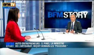 BFM STORY: Auto-entrepreneurs, Sylvia Pinel, la ministre de l'artisanat, reçoit demain les "poussins" - 05/06