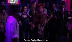 Tropical Family - Maldon - Live