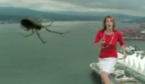 Une présentatrice météo terrorisée par une araignée !