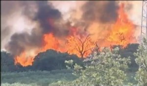 Les feux de forêts reprennent dans le nord du Portugal