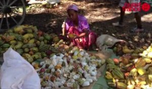 Madagascar. De la vallée de l'Ankarana à l'Océan indien