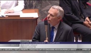 Tweets de Xavier Cantat : Ayrault vole au secours de Duflot