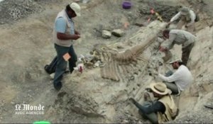 Découverte d'une queue de dinosaure de cinq mètres de longueur au Mexique