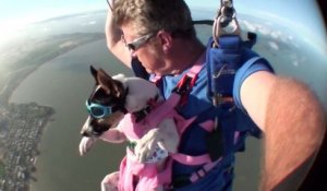 Crasha - The Skydiving Dog - Swoopware Skydive