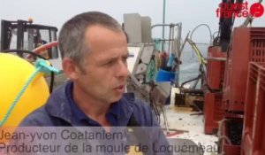 Embarquement avec Jean-Yvon Coatanlem, producteur des moules de Locquémeau - 06/08/2103