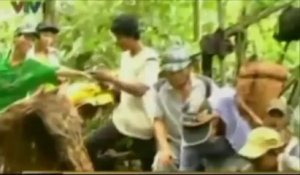 Après 40 ans dans la jungle, deux Vietnamiens retrouvent la civilisation