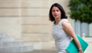Cécile Duflot : "aucun malaise" concernant Manuel Valls