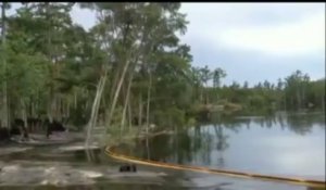 Des arbres happés par un trou géant en Louisiane