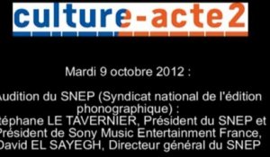 Mission culture-acte2 | audition du SNEP - Syndicat National de l'Édition Phonographique [audio]