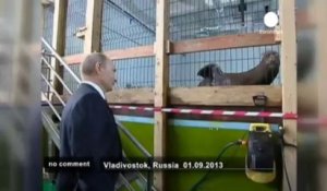Poutine visite l'océanarium de Vladivostok - no comment