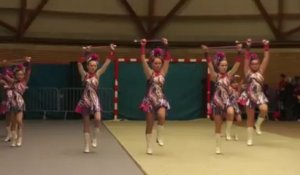 Avesnes-les-Aubert : 24ème Festival des majorettes