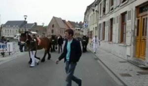 Steenvoorde: parade des chevaux lors de la Meï Feest