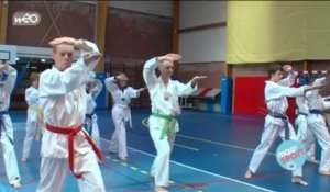Taekwondo : Portrait du club de Lambersart
