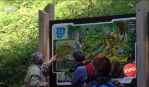 Maubeuge : le zoo prépare sa métamorphose