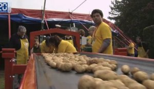 Record du monde du plus gros cornet de frites