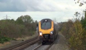 Pigeon vs Train