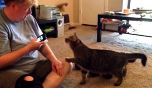 Qu'est-ce qui se passe quand vous essayez de parler le chat ?