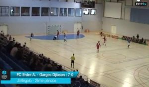 D1 Futsal - Journee 5 - Les buts