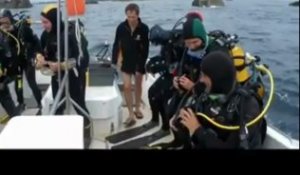 Plongée à Penmarc'h : le BRAM, explorateur de fonds marins bigoudens