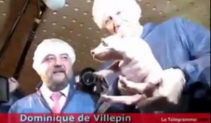 Lanhouarneau (29). Villepin tenant un porcelet : "Il ne vous rappelle pas quelqu'un ?"