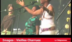 Vieilles Charrues. Les images du concert de Congotronics