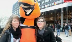 Lorient-Brest. Les supporters confiants