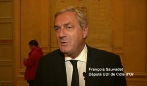 Boycott mariage UDI/MoDem : François Sauvadet s'explique