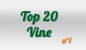 Top 20 Best Vines Video Week #1